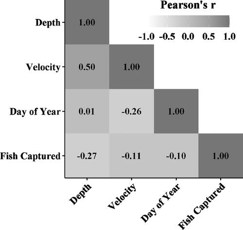 Figure 3. Pearson correlation coefficients among sampling site water depth (cm), velocity (m/sec), day of year, and total spawning Bigeye Chub (Hybopsis amblops) captured in 2019 and 2021.