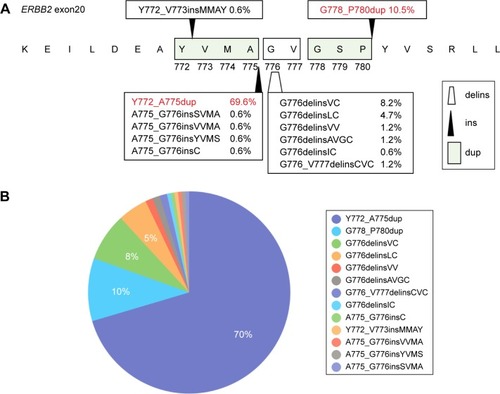 Figure 1 Structure and distribution of ERBB2 20ins.