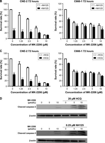 Figure 3 Suppression of autophagy increases the cytocidal activity of MK-2206 in NPC cell lines.