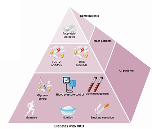Figure 3 KDIGO 2020 clinical practice guidelines for diabetes management in CKD.