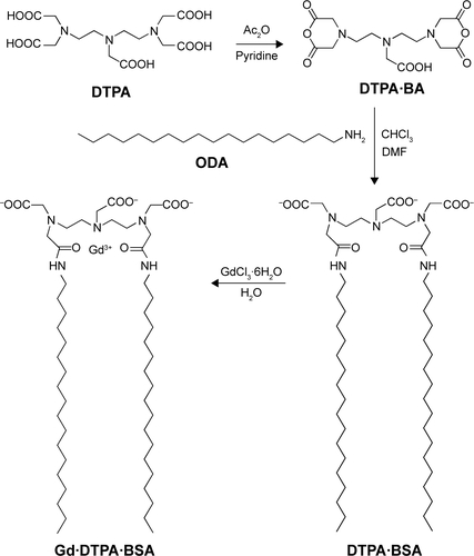 Figure S4 The synthetic routes of Gd⋅DTPA⋅BSA.Abbreviations: DTPA⋅BSA, [N,N-Bis-stearylamidomethyl-N′-amidomethyl] diethylenetriamine tetraacetic acid; DTPA⋅BA, DTPA bis-anhydride; Gd⋅DTPA⋅BSA, Gd (III) [N,N-bis-stearylamidomethyl-N′-amidomethyl] diethylenetriamine tetraacetic acid; ODA, octadecylamine.