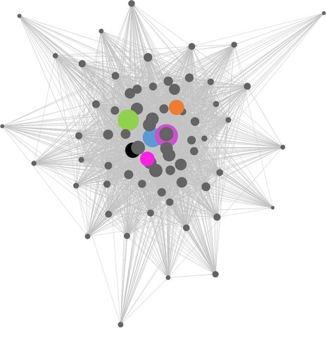 Figure 2. Network of communities in the giant component; node size represents community size. The nodes are the communities, with the size of the node representing the size of the community. The six largest communities which we focus on in this paper are coloured lilac, green, black, blue, orange and pink. All remaining nodes are grey.