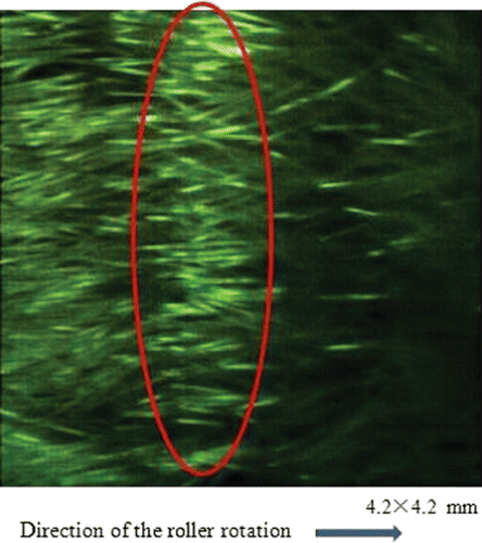Figure 4. Snapshot of the rayon rubbing piles in contact with the substrate. Photographed with a high-speed camera.