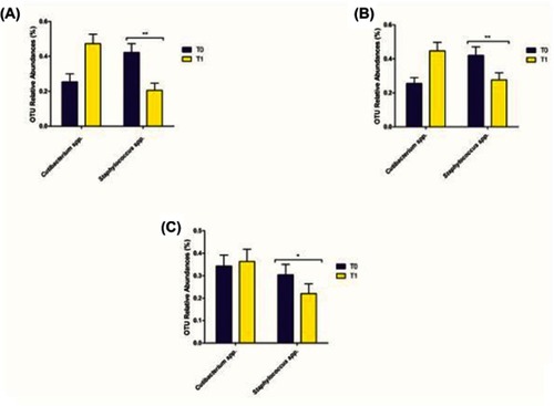 Figure 5 Changes in the skin microbial abundances detected for Cutibacterium and Staphylococcus spp. The barplot reported the microbial abundances before the topical treatment (T0) and 6 weeks after the cream application (T1). In particular, the abundances of cutibacteria and staphylococci detected in the SD-injury sites are shown in (A) for intra glabellar area, (B) for the nasolabial fold while (C) correspond to the no-injured site that is the mandibular rim. Results are presented as percentage (%) of the total sequences recovered per genera in all subjects. The predominant genera are shown in this figure; only the changes of Staphylococcus spp. were significantly different during the experimental time-course (*P < 0.05, **P < 0.01).