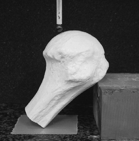 Figure 1. The device used for three-dimensional morphological analysis.This is only a sample picture.This humerus is not a real one for measurement, but a dummy bone.All specimens were fixed so that the articular surfaces faced upwards, and they were measured at intervals of 0.3 mm on the articular surfaces and 1 mm at the shafts.
