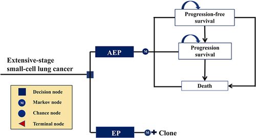 Figure 1 Markov model diagram. ES-SCLC extensive stage-small-cell lung cancer, AEP adebrelimab combined with etoposide and platinum, EP etoposide plus platinum.
