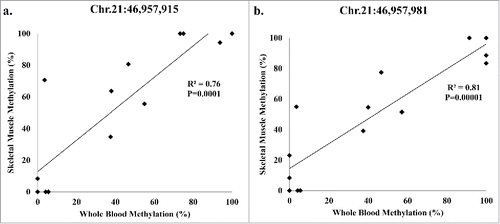 Figure 3. Pearson correlation analysis of the participants (8 lean; 6 obese) present in both whole-blood and skeletal muscle methylation for SLC19A1 (a) Chr.21:46,957,915 and (b) Chr.21:46,957,981.