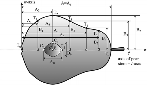 Figure 1 The pear outline and points Ti (Ai , Bi ), i = 0, … , 6.