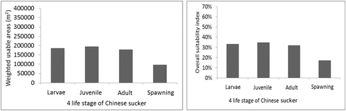 Figure 8 Weighted usable areas (WUA) and overall suitability index (OSI) fluctuation for target fish under the traditional conservation scheme.