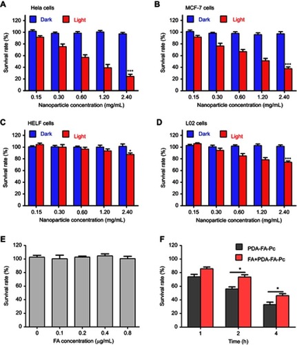 Figure 5 . Anticancer effects of PDA-FA-Pc nanomedicine in vitro. The survival rates of Hela (A), MCF-7 (B), HELF (C) and L02 cells (D) were determined after incubation with PDA-FA-Pc nanomedicineat various concentrations with and without illumination. (E) Phototoxicity of sole FA to Hela cells; (F) Time course for phototoxicities of PDA-FA-Pc nanomedicine (0.6 mg/mL) to Hela cells with and without competition with excessive FA (0.4 µg/mL). Phototoxicities were determined with the illumination at 680 nm with the light dose of 5 J/cm2. The values were represented as mean ± SEM, *p<0.05, ***p<0.001 vs the vehicle (non-treated) group.