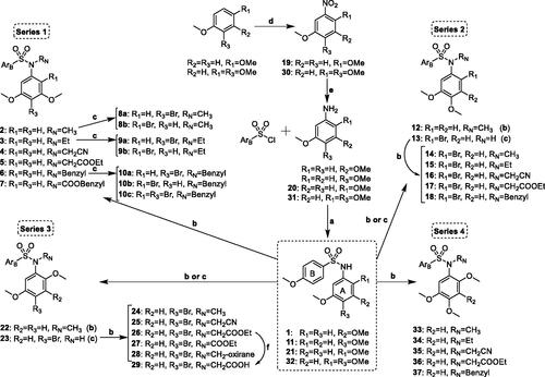 Scheme 1. Synthesis of new tubulin inhibiting sulphonamides. ArB: p-methoxyphenyl. Reagents, conditions, and yields: (a) Pyridine, CH2Cl2, rt, 6 h, 95–99%. (b) RN = CH3: CH3I, KOH, CH3CN, rt, 24 h, 84–95%; RN ≠ CH3: RN-halogen, K2CO3, dry DMF, rt, 24 h, 72–99%. (c) NBS, CH2Cl2, rt, 12 h, 62–95%. (d) HNO3, AcOH, 0 °C, 4 h, 85–94%. (e) H2, Pd(C), EtOAc, rt, 48 h, 99%. (f) KOH/MeOH, rt, 30 min, 87%.