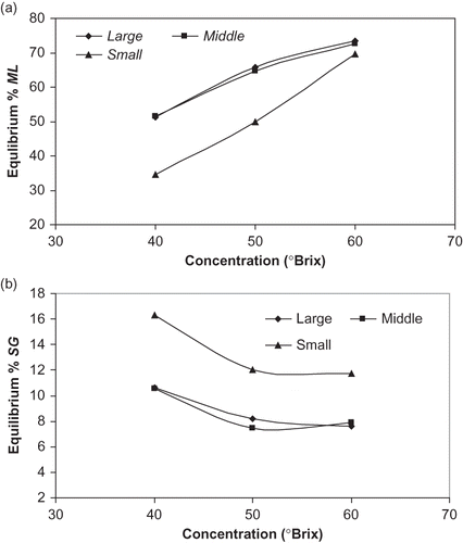 Figure 10 Plot of equilibrium (a) ML and (b) SG vs concentration for osmotic dehydration of apple cylinders at 50°C 50°Brix 24 h for three-size sample.