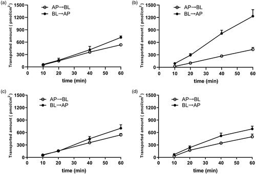 Figure 2. Bidirectionally transported amounts (pmol/cm2) of RA across (a, c) MDCKII-Mock and (b, d) MDCKII-MDR1 monolayers from 10 to 60 min. (a, b), 25 μM RA. (c, d) 25 μM RA + 50 μM Ver. Each point represents the mean ± SD of three determinations. AP: apical side; BL: basolateral side.