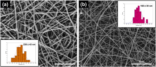 Figure 1. Nanofibers at 8,000× magnification: (a) SA-L and b) CS-L.
