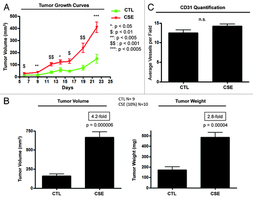 Figure 5. CSE-treated fibroblasts promote tumor growth. hTERT-fibroblasts were treated with 10% CSE every 2 days for 6 days, or left untreated. On the last day, control or CSE-treated fibroblasts were trypsinized and co-injected with MDA-MB-231 cells (at a ratio of 6 × 105 of fibroblasts to 1 × 106 MDA-MB-231 cells). (A) Tumor growth curves. Note that CSE-treated fibroblasts significantly enhanced tumor growth, relative to control fibroblasts. (B) Tumor volume and weight. At day 22, mice were sacrificed, and the tumors were surgically excised, weighed and measured with electronic calipers. CSE-treated fibroblasts increased tumor weight and volume by 3- and 4-fold, respectively, relative to control fibroblasts. (C) Tumor angiogenesis and vessel quantification (number of CD31-positive vessels per field). Tumor frozen sections were immuno-stained with anti-CD31 antibodies, and the number of CD31-positive vessels per field was scored. No significant differences in vessel density were detected in tumors generated from CSE-treated fibroblasts, relative to control fibroblasts. This indicates that angiogenesis did not promote tumor growth in our experimental model. n ≥ 9 injections, for each experimental condition.