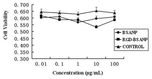 Figure 9. Cytotoxicity of RGD-conjugated BSANPs by MTT assay. Cell viability was not significantly decreased as the exposure time and concentration increased. No significant difference was found between the RGD-conjugated BSANPs and BSANPs (p > 0.05).