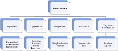 Figure 1. Classification of biosurfactants with examples for each category (Citation22).