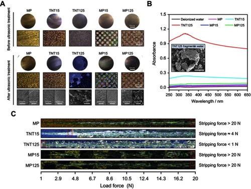 Figure 3 (A) Optical and scanning electron microscopy images of different substrates before and after ultrasonic treatment; (B) UV absorption spectrum of TiO2 fragments in different soaking solutions and the representative SEM image of TNT125 fragments in soaking water; (C) representative scratch track image of different samples (1–20 N).