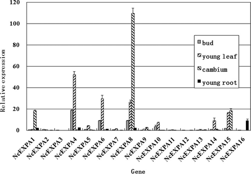 Figure 1. Expression pattern analysis of 16 α-expansin genes in four rapid-growth tissues (bud, young leaf, cambium region and young root) in N. cadamba by qRT-PCR.