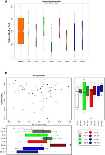 Figure 2 Effects of sleep deprivation on microbial β-diversity in rats. (A) Weighted Unifrac Anosim analysis of the microbiome in rats following SD and recovery. (B) Weighted Unifrac PCoA analysis of microbiome in rats following SD and recovery. Boxes represent the interquartile ranges. Lines inside the boxes denote medians. Circles are outliers. **p < 0.01.