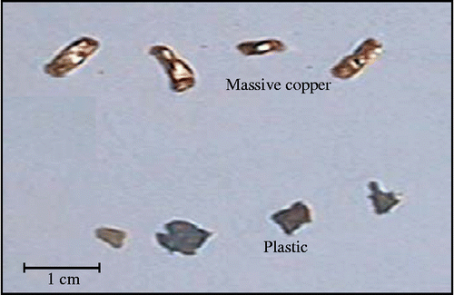 Figure 3 Particles size and shape of sample #B.