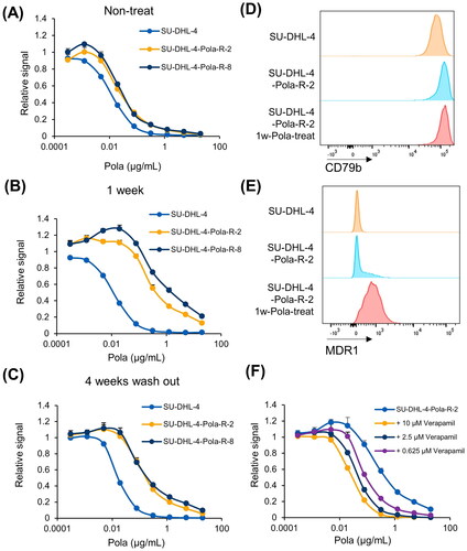 Figure 1. Pola-resistant SU-DHL-4 cells were resistant due to increased expression of MDR1. A, Sensitivity to Pola at the indicated concentrations was assessed in SU-DHL-4 and SU-DHL-4-Pola-R cells. Data points represent mean value + SD. n = 3 B, Sensitivity to Pola at the indicated concentrations was assessed in SU-DHL-4 cells and SU-DHL-4-Pola-R cells cultured in Pola-free media for 1 week following treatment with Pola (1 µg/mL) for 1 week. Data points represent mean value + SD. n = 3 C, Sensitivity to Pola was assessed at the indicated concentrations in SU-DHL-4 cells and SU-DHL-4-Pola-R cells cultured in Pola-free media for 4 weeks following the treatment with Pola (1 µg/mL) for 1 week. Data points represent mean value + SD. n = 3 D, E, Surface expression of CD79b (D) or MDR1 (E) on SU-DHL-4 cells, SU-DUL-4-Pola-R-2 cells, and SU-DUL-4-Pola-R-2 cells treated with Pola (1 µg/mL) for 1 week was analyzed by flow cytometry. F, SU-DUL-4-Pola-R-2 cells treated with Pola (1 µg/mL) for 1 week. Sensitivity to Pola was then assessed at the indicated concentrations in cells treated with verapamil. Data points represent mean value + SD. n = 3.