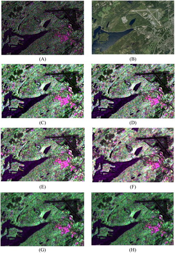 Figure 16. St. John’s: (A) original polarimetric image, (B) snapshot of the study area from Google EarthTM, (C) the 5 × 5 average filtered image, (D) image filtered with 5 × 5 refined PolSAR filter (Lee, Grunes, and De Grandi Citation1999), (E) the 5 × 5 Lopez (Lopez-Martinez and Fabregas Citation2008) filtered image, (F) IDAN (Vasile et al. Citation2006) filtered image with window size row of 50, (G) average filtering with adaptive window size, and (H) PolSAR filtering with adaptive window size.