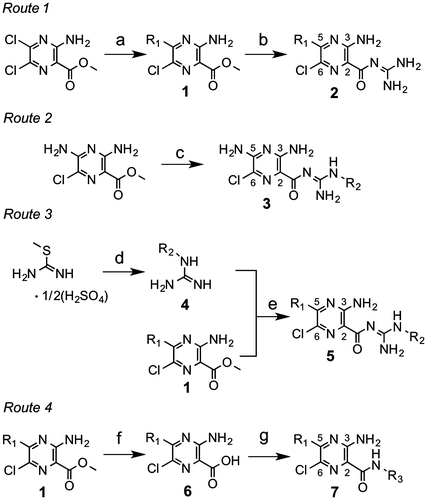 Scheme 1. Synthesis of amiloride derivatives (series 2, 3, 5, and 7). Reagents and conditions: (a) primary or secondary amine, 2-propanol, reflux, 2 h; (b) guanidine hydrochloride, NaOMe, MeOH, reflux, 12–18 h; (c) (i) R2–NH2, 1H-pyrazole-1-carboxamidine hydrochloride, DMF/(i-Pr)2EtN (3:1), rt, 12–18 h, (ii) NaOMe, MeOH, rt, 30 min, (iii) R2–guanidine base, reflux, 2 h; (d) (i) R2–NH2, EtOH/H2O (1:1), reflux, 4 h, (ii) NaOMe, MeOH, rt, 30 min; (e) MeOH, reflux, 2 h; (f) aq. LiOH, THF/MeOH (1:1), rt, 4 h; (g) R3–NH2, 4-methylmorphorine, HATU, DMF, rt, 3 h.
