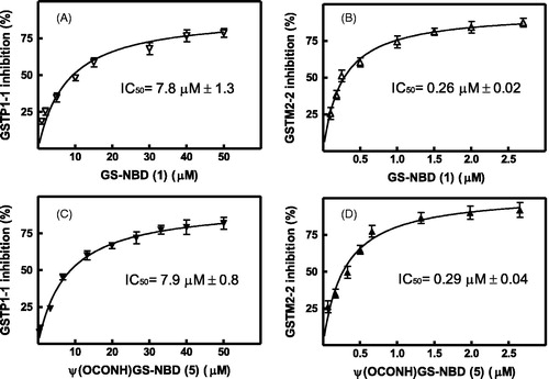 Figure 2. Effects of NBD S-conjugates 1 and 5 on the catalytic activity of GSTP1-1 and GSTM2-2. The GST activity was reported as percent of GST activity inhibition. The solid line is the best fit of the experimental data to a hyperbolic binding equation which fulfils the IC50 values of 7.8 ± 1.3 and 0.26 ± 0.02 µM for the reaction catalyzed by GSTP1-1 (panel A) and GSTM2-2 (panel B), respectively, in the presence of GS-NBD 1 as inhibitor. When the enzymatic activity was measured in the presence of NBD conjugate 5, the IC50 values found were 7.9 ± 0.8 and 0.29 ± 0.04 µM for GSTP1-1 (panel C) and GSTM2-2 (panel D), respectively. Data represent means ± SD of three independent experiments.