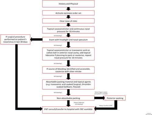 Figure 1 Epistaxis clinical care pathway.