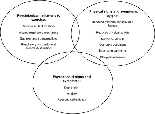 Figure 1 Multi-factorial nature of exercise limitation in chronic obstructive pulmonary disease.