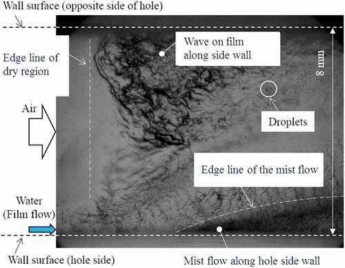 Figure 13. Local snapshot of hydraulic behavior in diffuser part.