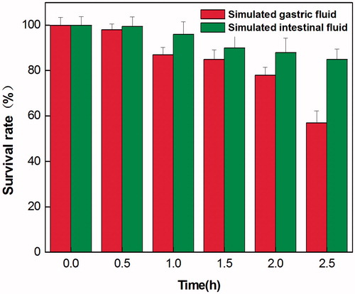 Figure 3. Survival of LY33 in simulated gastric fluid and simulated intestinal fluid. With the prolonged action period, the survival rate of LY33 in simulated gastric fluid had no significant decreased, and it started to drop significantly after 2.5 h of effect. While in simulated intestinal fluid, the survival rate of LY33 didn't change significantly until 2.5 h had passed.