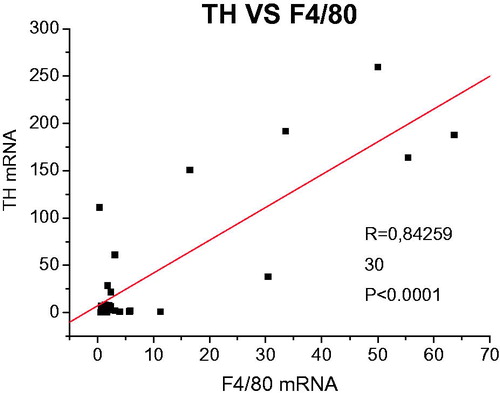 Figure 4. Correlation analysis between TH and F4/80 gene expressions.