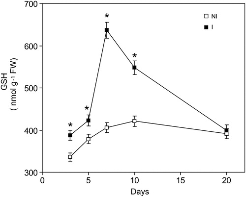 Figure 2. Time course changes of GSH levels caused by inoculation with Bradyrhizobium japonica on soybean roots. Data are mean ± SD, n = 4. P < 0.01 as assessed by Tukey's t-test. NI, not inoculated; I, inoculated plants.