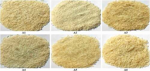 Figure 1. Image Data set of Rice Varieties (A1) Kachi_Kainat (A2) kachi_Toota (A3) Kainat_Pakki (A4) Super_Basmati_Kachi (A5) Super_Basmati_Pakki (A6) Super_Maryam_Kainat