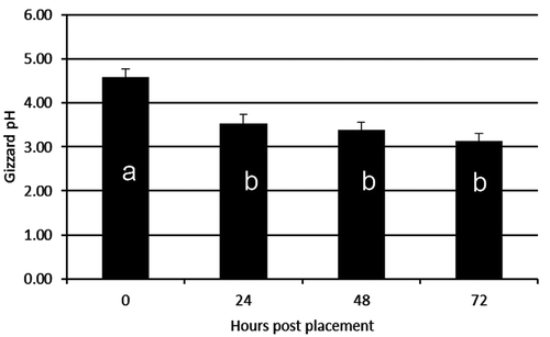 Figure 1. Gizzard pH 0–72 h post-hatch (n = 15 birds per time point).