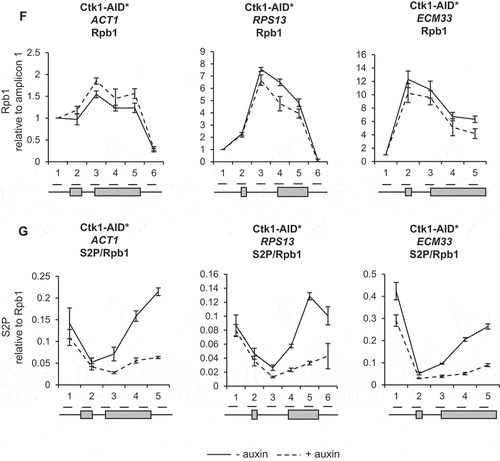 Figure 2. Continued