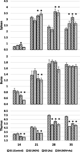 Figure 2. Absolute lymphoid organ weights (g). Values were obtained from organs harvested from birds treated as outlined in Figure 1 legend. (A) Spleen, (B) Bursa, and (C) Thymus. Values shown are means (±SD) of organ weights in grams; N = 3/group. *Value significantly different from control on specific day (p < 0.05).