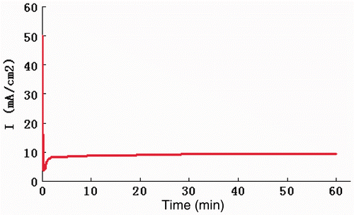 Figure 1. (Colour online) The current density as a function of time during anodising.