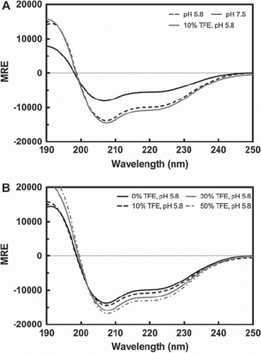 Figure 6. Circular dichroism (CD) profile of the TM4-Cx43CTΔEL2. CD spectra of the TM4-Cx43CTΔEL2 solubilized in LPPG micelles (MES buffer pH 5.8, 50 mM NaCl, 42°C). (A) CD spectra comparing the secondary structure of the TM4-Cx43CTΔEL2 at pH 7.5 (solid black line) to pH 5.8 (dotted black line) and to pH 5.8 and 10% TFE (solid gray line). (B) CD spectra for the TM4-Cx43CTΔEL titrated with 0% (solid black line), 10% (dotted black line), 30% (solid gray line), and 50% (dotted gray line).