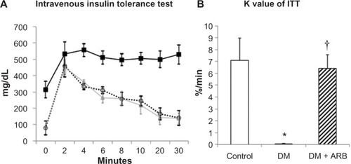 Figure 7 Intravenous insulin tolerance test (ITT) (A) and the K index of ITT (B).