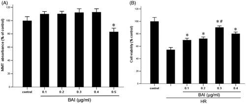 Figure 1. (A) Effect of BAI at various concentration on the proliferation of HK-2 cells under normoxic conditions. Results are expressed as the mean ± SD (n = 9). *p < .05 vs. control. (B) Effect of BAI at various concentration on the viability of HR-treated HK-2 cells. Results are expressed as the mean ± SD (n = 9). *p < .05 vs. HR group without treatment; #p < .05 vs. other HR + BAI groups.