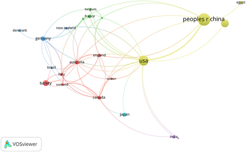 Figure 4 Bibliometric map created using network visualization mode and co-authorship analysis between countries.