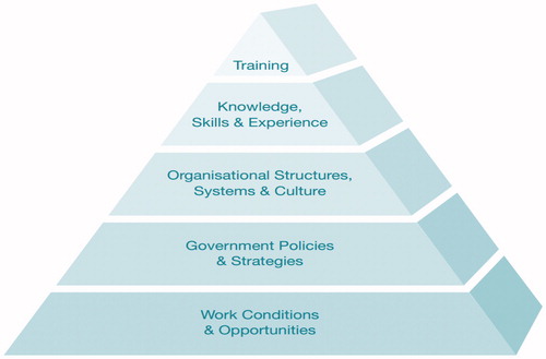 Figure 1. The different levels and components of workforce development (Roche & Pidd, Citation2010).