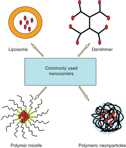 Figure 2. Commonly used nanocarriers.