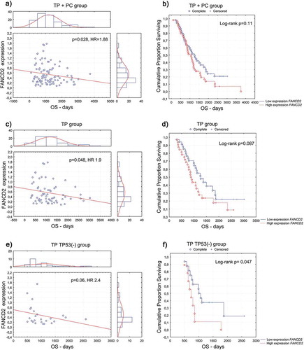 Figure 2. Overall survival (OS) according to the FANCD2 gene expression at the mRNA level in the (a, b) combined TP- and PC-treated groups of patients; (c, d) TP-treated group of patients; (e, f) group of TP-treated patients with TP53-negative carcinomas. (a, c, e) univariate analysis of a continuous variable; (b, d, f) analysis of Kaplan–Meier curves, cut-off point at the median value of 0.4.