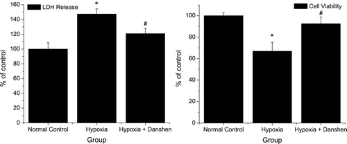 Figure 6.  Cell viability and LDH release in different treatment group. Normal control: cells cultured in normal oxygen condition; hypoxia: cells cultured in 2% O2 for 8 h; hypoxia + Danshen: cells pretreated with 1.8 mg/mL Danshen and then cultured in 2% O2 for 8 h. (Data for cell viability are derived from five independent experiments; data for LDH release are derived from three independent experiments; *p < 0.05: compared with normal control group; #p < 0.05: compared with hypoxia group.)