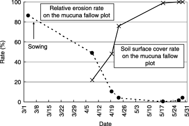 Figure 3  Change in soil surface cover rate by mucuna plants and the soil erosion rate for the mucuna fallow relative to that of the natural fallow.