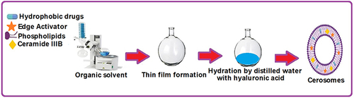 Figure 1 Graphic representation of the method employed for preparing CsA/DTH cerosomes using the thin-film hydration technique.